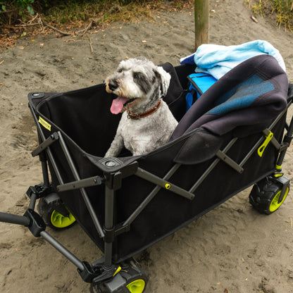 Minimax Camp Wagon